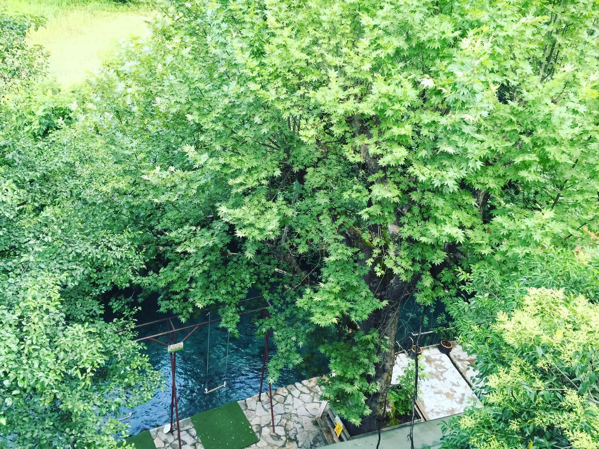 Yuvarlakcay Cinar Butik Hotel Koycegiz  Bagian luar foto
