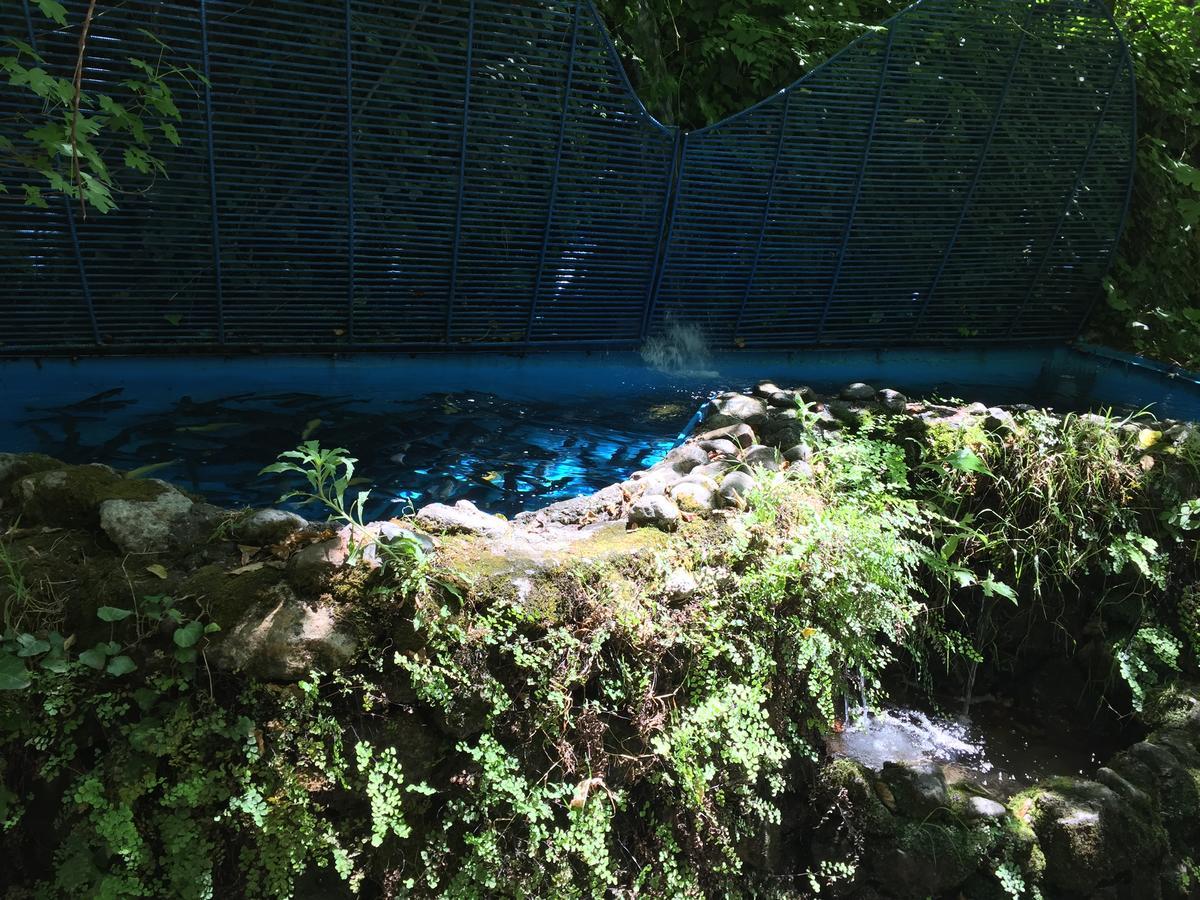 Yuvarlakcay Cinar Butik Hotel Koycegiz  Bagian luar foto
