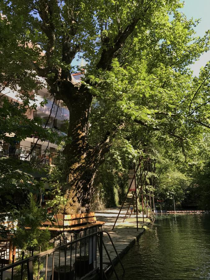 Yuvarlakcay Cinar Butik Hotel Koycegiz  Bagian luar foto