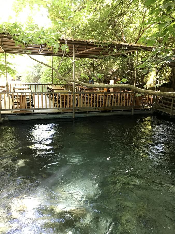 Yuvarlakcay Cinar Butik Hotel Koycegiz  Bagian luar foto
